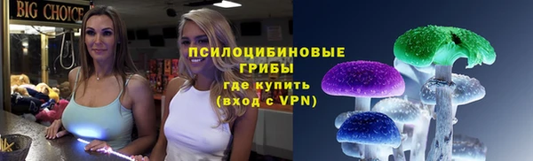 spice Михайлов